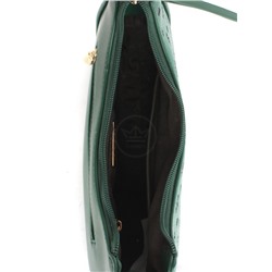 Сумка женская искусственная кожа DJ-7007-2-GREEN,  1отд,  плечевой ремень,  зеленый 256095