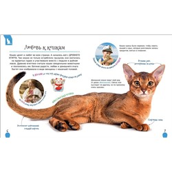 Уценка. Кошки и котята (Первая энциклопедия)