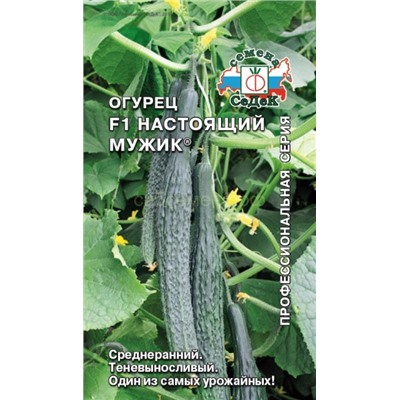 Огурец Настоящий мужик F1 (Седек)