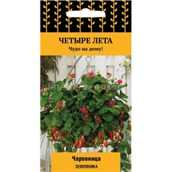 Земляника Чаровница (Поиск) 5шт Четыре лета