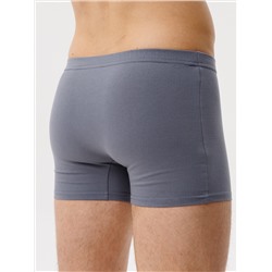 Трусы мужские боксеры Lingeamo серые ЛБ-04 (84)