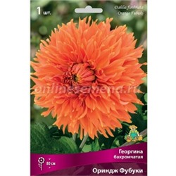 Георгин Ориндж Фубуки 1шт (Поиск)