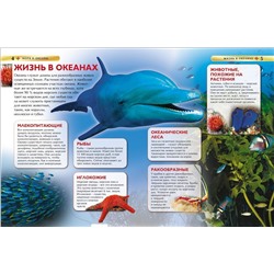 Моря и океаны. Детская энциклопедия
