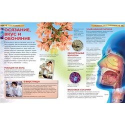 Детская иллюстрированная энциклопедия. Планета Земля. Доисторический мир. Животные. Тело человека. Техника