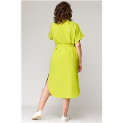 EVA GRANT 7197 салатовый, Платье
