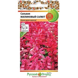 Сальвия Малиновый салют F1 (НК)