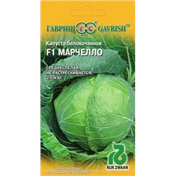 Капуста Марчелло F1 (Гавриш) 10шт