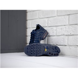 Кроссовки NIke Air Max Plus all Blue