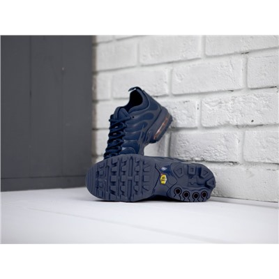 Кроссовки NIke Air Max Plus all Blue