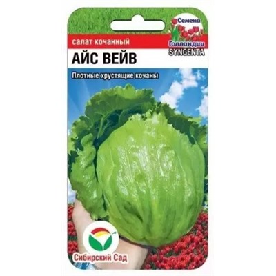 Салат Айс Вейв (Код: 88155)