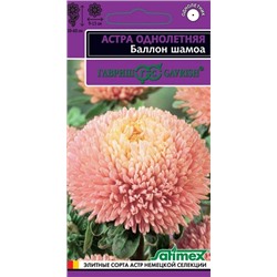 Астра Баллон Шамоа Эксклюзив (Код: 91848)