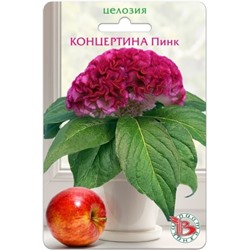 Цв.Целозия Концертина Пинк (Био) 8шт