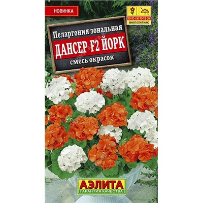 Цв.Пеларгония Дансер F2 Йорк см  (Аэлита) 5шт