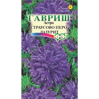 Астра Страусово перо Лазурит (Код: 92896)