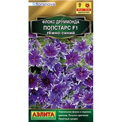 Флокс Попстарс F1 темно-синий (Аэлита)