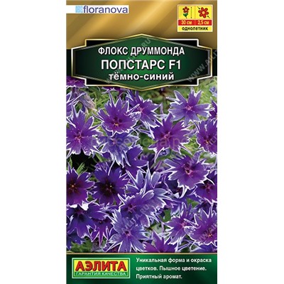 Флокс Попстарс F1 темно-синий (Аэлита)