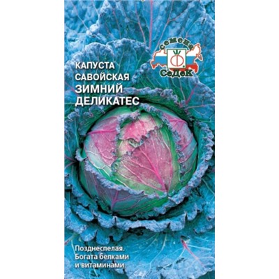 Капуста Савойская Зимний Деликатес (Седек) 1г