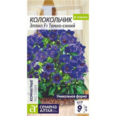 Колокольчик Эппил Темно-синий средний (Алтай)
