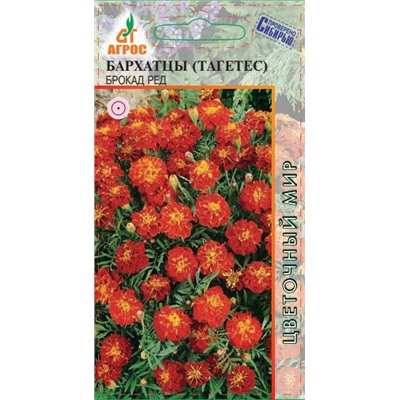 Бархатцы Брокад Ред (Код: 90807)