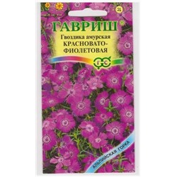 Гвоздика Амурская Красновато-фиолетовая (Код: 509)