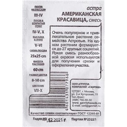 Астра  Американская красавица ч/б (Код: 80482)
