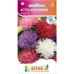 Астра Аполлония Радуга (Код: 93415)