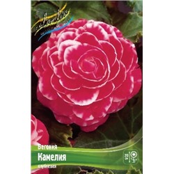 Бегония Камелия 3шт (ИС)