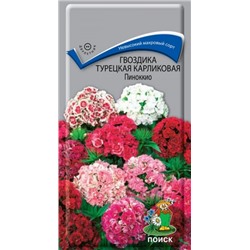 Цв.Гвоздика Пиноккио турецкая (Поиск) 0,3г