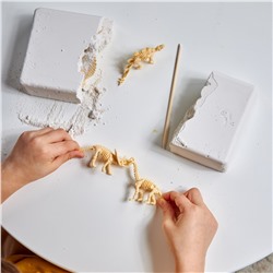 Раскопки для детей «Большой набор юного палеонтолога» (5 динозавров)