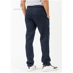 PDB-231 (Брюки мужские спортивные, PanteLemone )