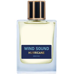WIND SOUND HURRICANE (Звук Ветра. Ураган) /муж. M~