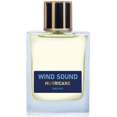 WIND SOUND HURRICANE (Звук Ветра. Ураган) /муж. M~