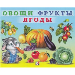 Уч. Учим малыша.  Овощи фрукты ягоды 12 цветн.стр. 20*16см (вып.по 2шт) 29494
