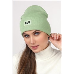 Шапка CLEVER #837272