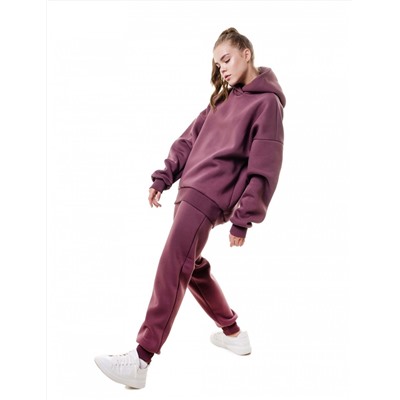 SALE Брюки женские с начесом PLUM