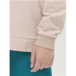 BFNS4295/1U (Толстовка для мальчика, Pelican Outlet )