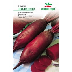 Свекла Цилиндра (СеДеК) УГ 3г