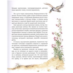 Бемби