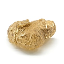 Янтарь "Копал" с инклюзами 69*37*38мм, 44г