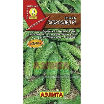 Огурец Скороспел F1 (Аэлита)