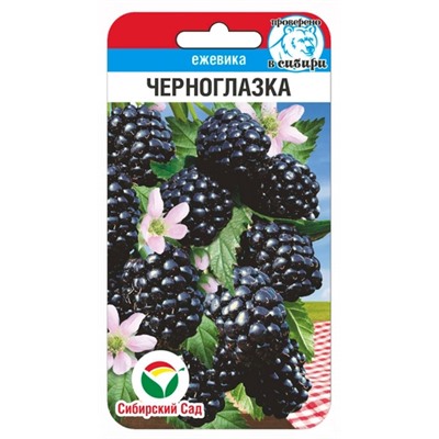 Ежевика Черноглазка (Код: 91623)