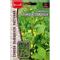Кирказон Клематисовидный (Редкие)