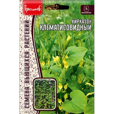 Кирказон Клематисовидный (Редкие)