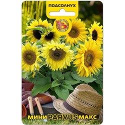Цв.Подсолнечник Мини-Макс Парвус (Био) 10шт