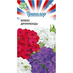 Флокс Триколор смесь (Гавр)