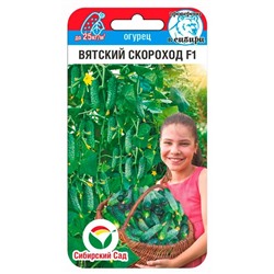 Огурец Вятский скороход F1 (Код: 91377)