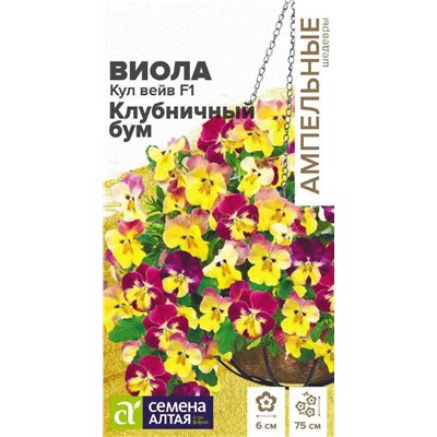 Виола Кул Вейв Клубничный бум F1 ампельная (Алтай)