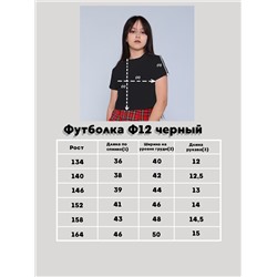 Футболка Ф12 черный
