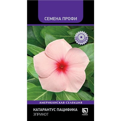 Катарантус Пацифика Эприкот (Код: 93192)