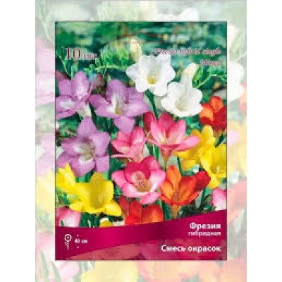 Фрезия смесь окрасок 10шт (Поиск)